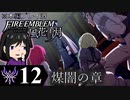 【FE風花雪月 DLC】陰に棲む灰狼、陽を失った者達が紡ぐ「煤闇の章」＃12【実況】