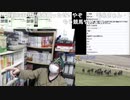 34歳未勝利 光と闇の行方