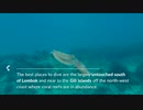 Diving-Exploring The Blue Planet
