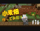 【マイクラ #17】小麦畑　作ってみた！【女性実況】