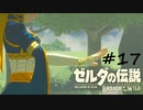 【ゼルダの伝説BotW】記憶喪失だけどちょっと世界救ってくるPart17【実況】