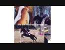 引退競走馬応援チャンネルat早来エクワインファーム　PV第一弾