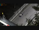 全力で逃げるネコジェルマンセル