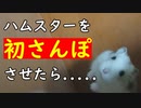 『ハムスターを初めて外出させた結果・・・』#9【ハムスター物語】