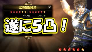 【新三國無双斬】実況 楽進遂に５凸！完凸までラスト１！徐庶は幸せになりたい（仮）その２１２