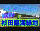 釣り動画ロマンを求めて 326釣目（杉田臨海緑地）