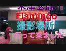 米津玄師　Flamingo 撮影現場