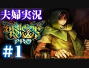 【夫婦実況】ドラゴンズクラウンプロ（Dragon's Crown Pro）＃1【初見プレイ】
