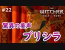 【実況】ダークファンタスティックウィッチャー Part22