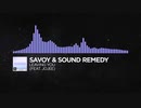 Savoy & Sound Remedy - Leaving You (Feat. Jojee)【Monstercat Release】