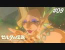 【実況】マスターモード縛りプレイやる part10【ゼルダの伝説 ブレスオフザワイルド】