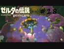 【ゼルダの伝説BotW】記憶喪失だけどちょっと世界救ってくるPart18【実況】