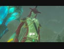 【Switch】リンクの記憶なしで成り行き旅【プレイ動画】part24