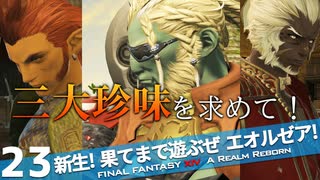 【最初からFF14実況】新生！果てまで遊ぶぜ エオルゼア！#23