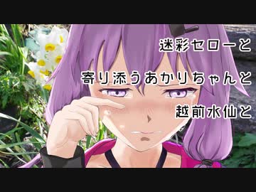 【紲星あかり車載】迷彩セローと寄り添うあかりちゃんと越前水仙と【福井県】