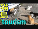 猫島ツーリズム - 前編-