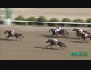 2020年2月22日佐賀競馬6R レディスヴィクトリーラウンド佐賀第１戦(C2-16組) ロージズレイ
