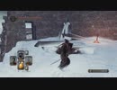 初見ダークソウル２ #89　壁外の雪原