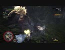 熟練の初心者がアイスボーン初見プレイpart17-2～出でよ破壊の権化編～