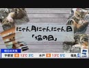 にゃん月にゃんにゃん日「猫の日」 (2020-02-22)