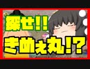 【ゆっくり実況】超絶ウザい⁉きめぇ丸を探せ!!#6日目前編【ピクミン2】