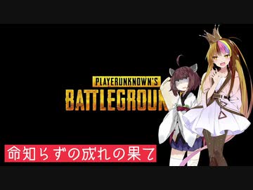 【ペーユーべージー】　ォイ？！おめェストーカーだろ！！！！！！【広告ありがとう】