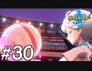 【実況】一時の感情でルールを課していくポケモン(剣)【ポケモン剣盾】#30