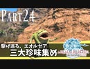 【実況】しっかり者(笑)のFF14！新生エオルゼア編 part24