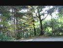 【脱走だーｯ！27】黒猫キキくん