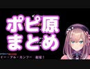 ポピ原まとめ