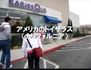 のまさんち「アメリカ の トイザラス に行ってみた♪」