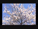 輪音イクト - 覚悟の旅人