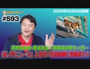 「虎ノ門ニュース」上念司×百田尚樹に真相深入り。消費税減税+憲法改正て解散総選挙を４月…｜みやわきチャンネル（仮）#734Restart593