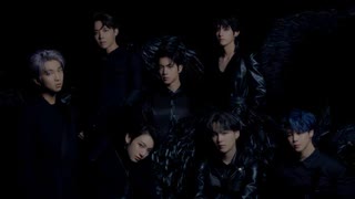 [日本語訳・カナルビ付き] BTS - Black Swan