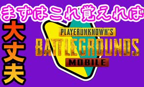 【初心者必見】まずはコレを覚えればあなたも大丈夫！PUBGモバイル（PUBGMOBILE）