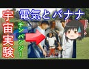 【ゆっくり解説】宇宙に行った動物たち その4　宇宙へ打ち上げられた動物たちの運命とその後