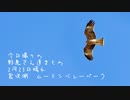 今日撮り野鳥さん達まとめ2月23日晴れ　宮沢湖　ムーミンバレーパーク　メッツァビレッジ