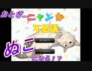 おとぎ、ぬこになる【ニャンか不思議】