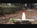 【*ふく´ Д `ざわ*】  Ievan polkka 踊ってみた。
