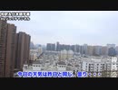 【武漢封鎖２０日目：2月11日】 武漢でコロナウィルスと戦う3人の中国人家族の様子　（和訳付）
