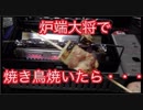 炉端大将で焼き鳥焼いてみた結果・・・As a result of trying Yakitori with General Furbata ...