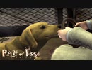 あまりにも残酷で、美しい物語　ルールオブローズを実況　その4