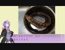 【1分弱料理祭】ウツボを食べる