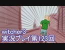 探し人を求めてwitcher3実況プレイ第123回