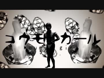 コウモンガール