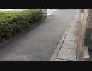鈴木けんま1-20200222