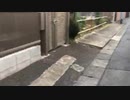 鈴木けんま2-20200222