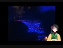 【今年こそは行ってみたい！】夜の♡海地獄って…いったい！？【大分県観光案内動画】