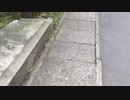稲田堤3-20200222