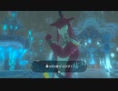 【Switch】リンクの記憶なしで成り行き旅【プレイ動画】part25